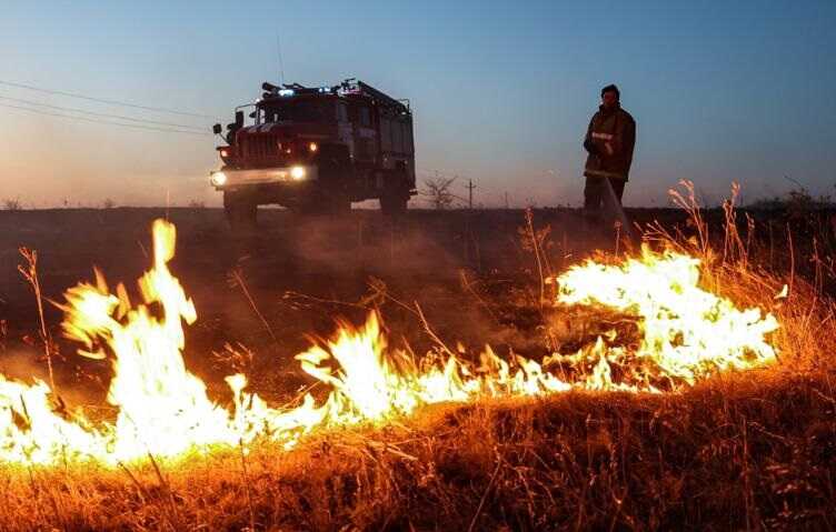 Жара и сильный ветер стали причиной многочисленных пожаров в Ростовской области